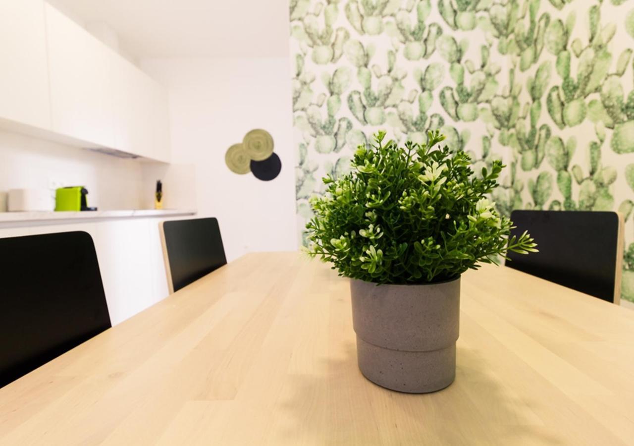 Moderno Apartamento Urbano En Barrio Historico 1ºi ซานตาครูซ เด เตเนริเฟ ภายนอก รูปภาพ